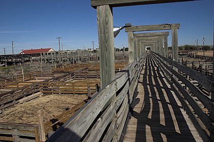 Stockyards Fort Worth