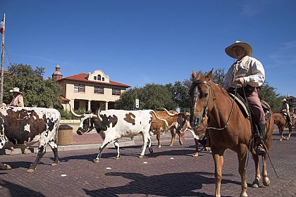 Stockyards Fort Worth